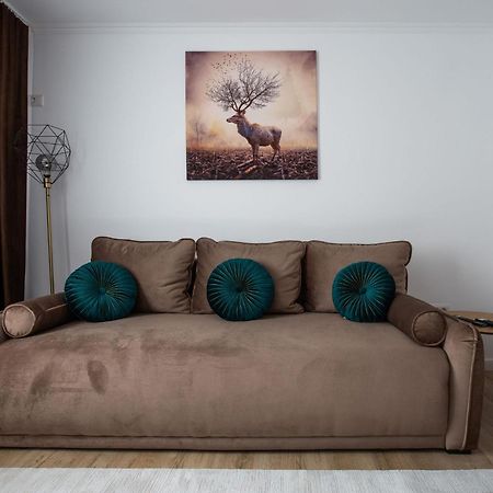 Apartament Victoria Satu Mare Eksteriør billede